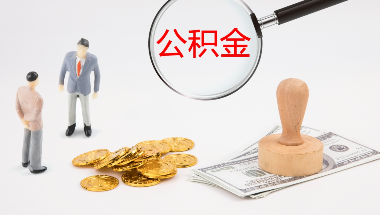桓台个人住房公积金查询app（个人公积金查询网址）